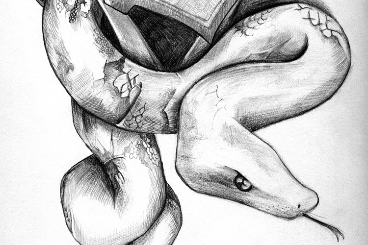 Snake drawing by Sharif Mohammadi