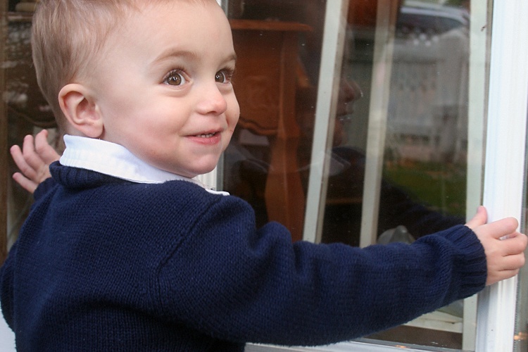Mike by the window by Sharif Mohammadi